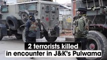 2 terrorists killed in encounter in J&K’s Pulwama
