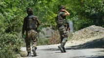 Two terrorists killed in Jammu and Kashmir's Pulwama