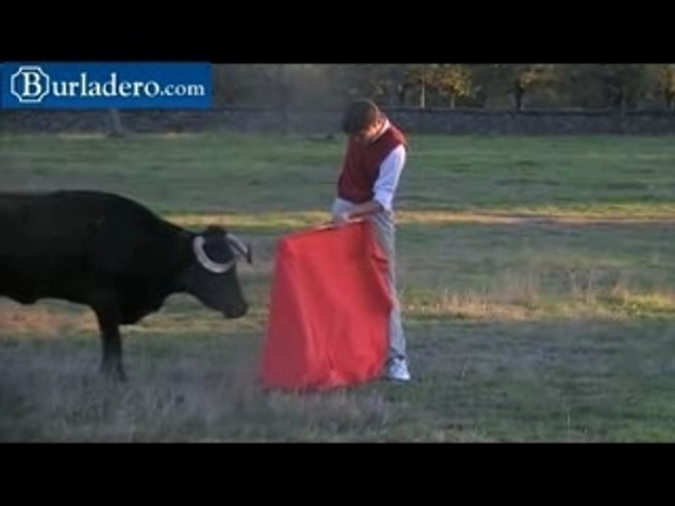 Retienta de vacas