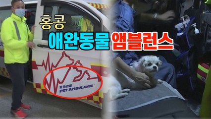 [세상만사] 긴급 출동 구급차가 태운 환자, 알고보니 애완동물 / YTN
