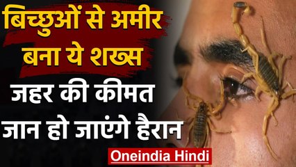 Scorpion King: आपको अमीर बना देगा ये Scorpion, Mohamed Hamdy को मिलती है इतनी कीमत । वनइंडिया हिंदी