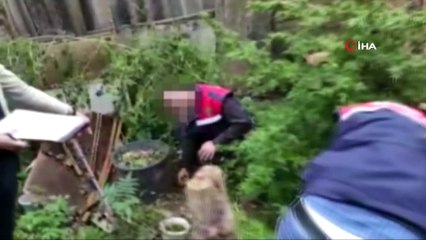 Eyüpsultan’da uyuşturucu operasyonu: 2 kişi yakalandı