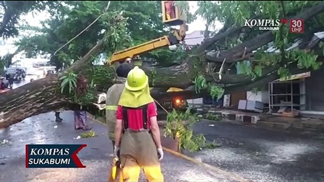Angin Kencang Sebabkan Pohon Tumbang Lumpuhkan Jalur Wisata