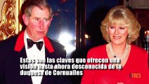 ¿Y si Camilla Parker no fuese la villana del cuento de Lady Di?