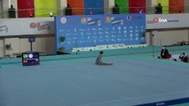 Avrupa Erkekler Artistik Cimnastik Şampiyonası başladı