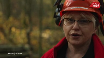 Télécharger la video: Territoires zéro chômeur - Sénat en action (02/12/2020)