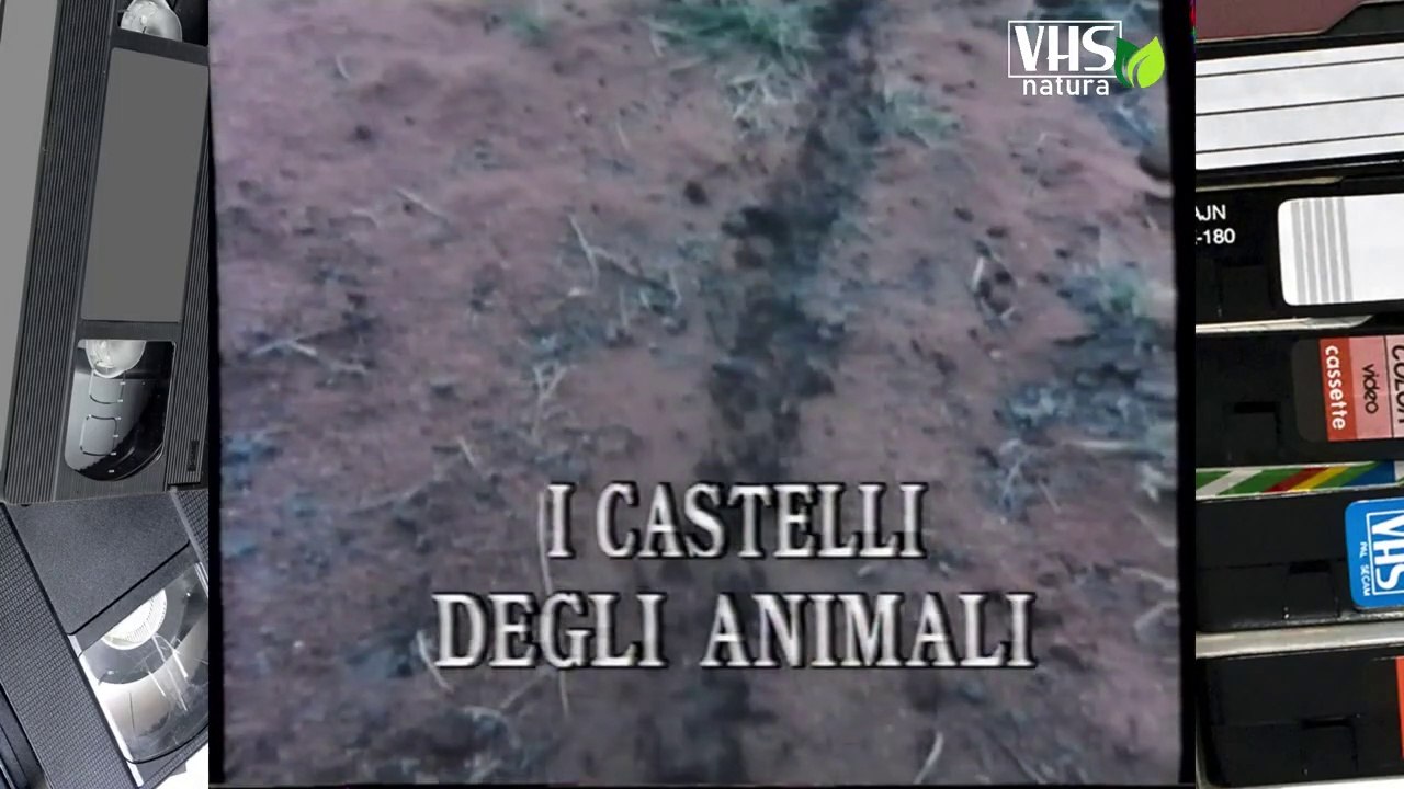 I CASTELLI DEGLI ANIMALI