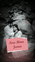 Yaara 2 Status | Mamta Sharma | DK Status