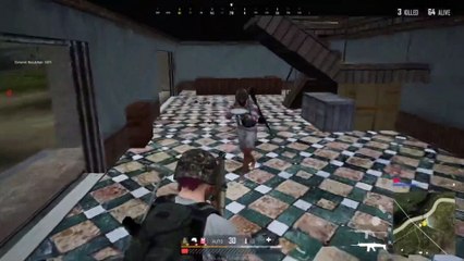 winner winner chicken dinner