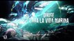 2992.JUSTICE LEAGUE 'Aquaman Underwater' Trailer (2017) Jason Momoa, Movie HD