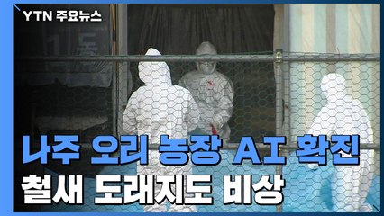 나주 오리 농장 고병원성 AI 확진...철새 도래지도 비상 / YTN