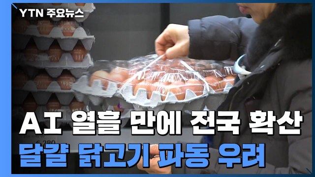 AI 열흘 만에 전국 확산...달걀·닭고기 파동 우려 / YTN