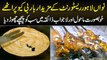 Best Fast Food & BBQ – Nawa Lahore Restaurant In Johar Town | Maryam Ikram