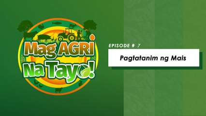 "PAGTATANIM NG MAIS" Mag-Agri na Tayo!   Ep-7