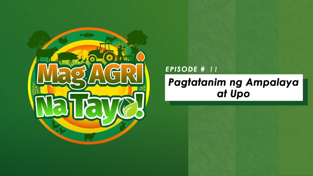 "PAGTATANIM NG AMPALAYA AT UPO" Mag-Agri Na Tayo! Ep-11