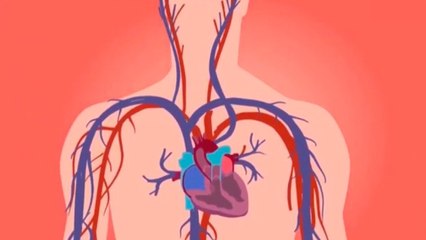 bd-muerte-subita-cardiaca-091220