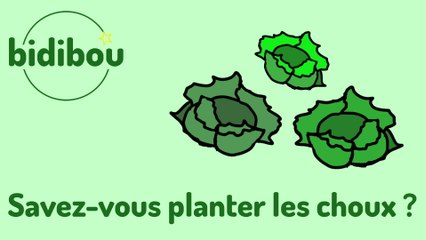 Bidibou - Savez-vous planter les choux ?