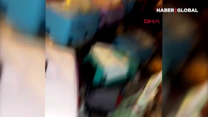 Üretim veya deney yapıyorlar diye ihbar geldi, polis baskın yaptı! 57 kedi kurtarıldı