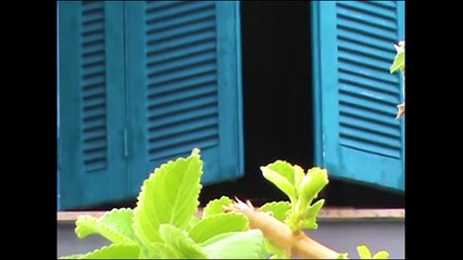 Teaser - "Domicílio Incerto" (2020)