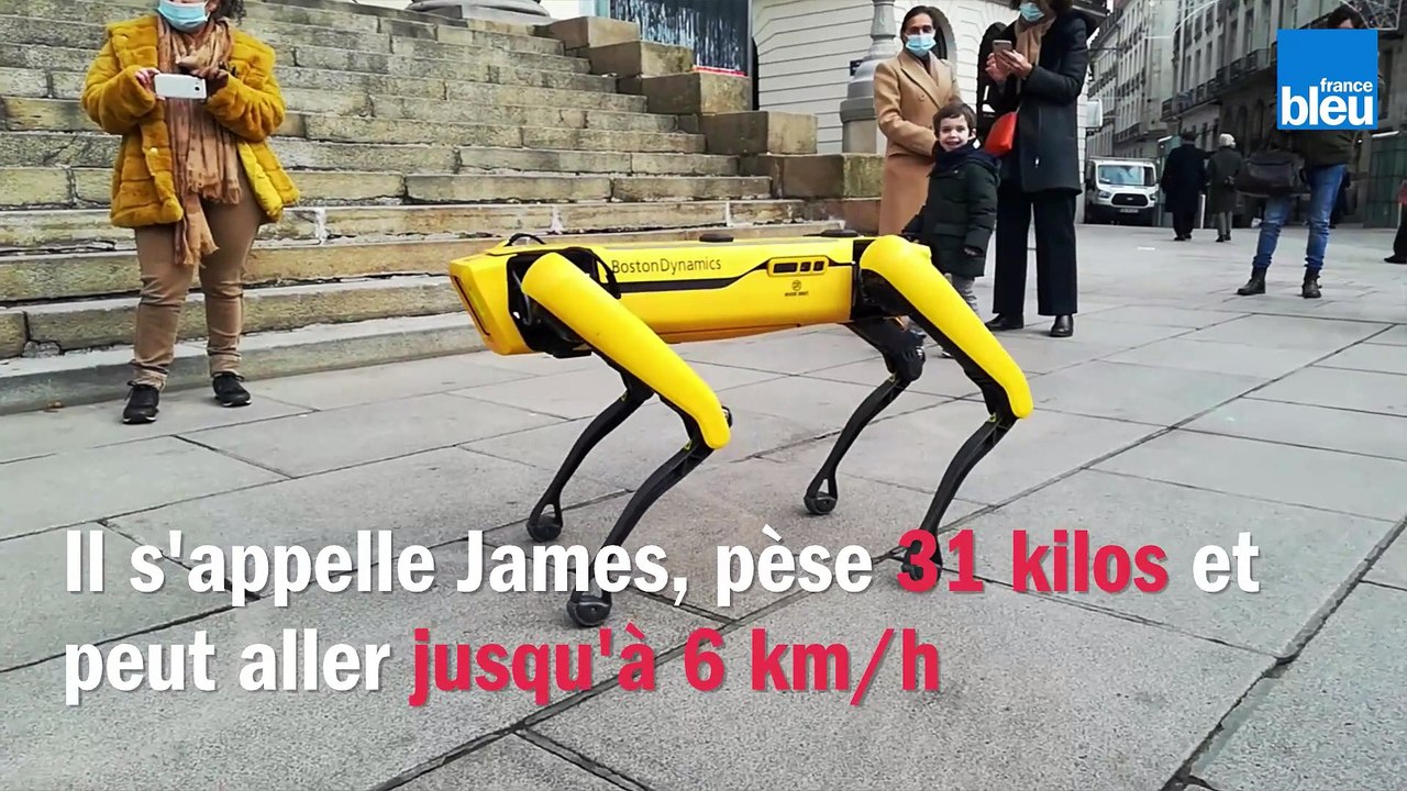 Un chien robot de sortie place Graslin