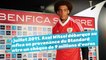 La saison d'Axel Witsel au Benfica