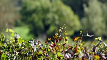 Plus belle la vie - [PRIME] Évasions : l'espoir renait !