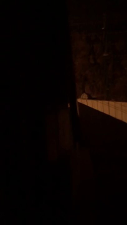 españoles hartos de mentiras,canarios HARTOS