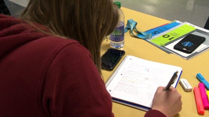 Les étudiants affectés par les cours à distance