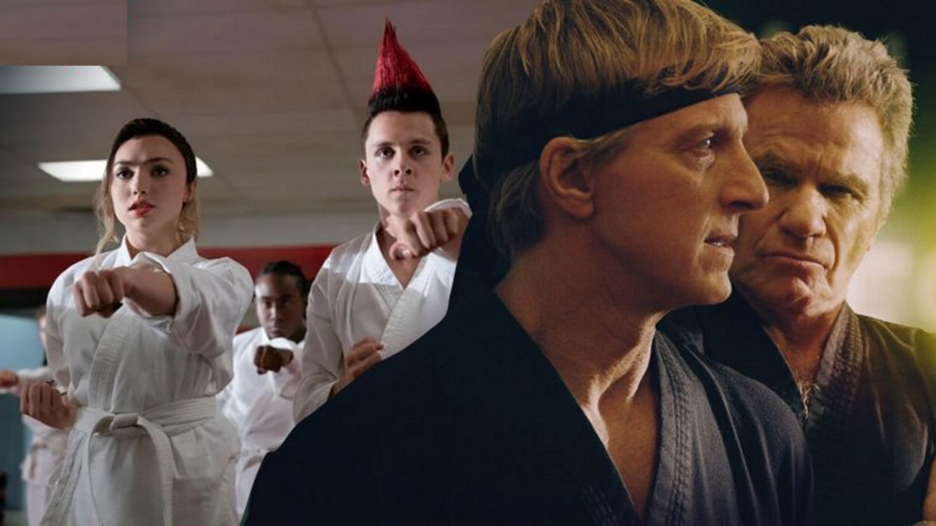 Cobra kai 6