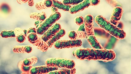 Psychiatric Symptoms May Be Linked To Stealthy 'Cat Scratch' Bacteria