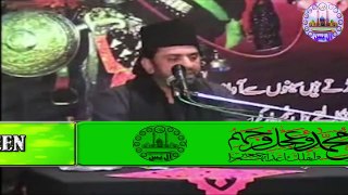 Imam Hassan as || Surah e Kausar Ki Tafseer || Allama Nasir Abbas Multan