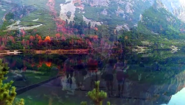 Sembrando Esperanza - Dios - Romanos 1:21-25 - Serafín Porcel - 05.12.2020