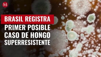 Brasil registra posible caso de infección por hongo resistente y potencialmente mortal