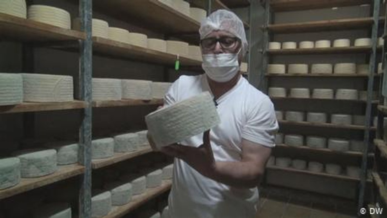 Quesos artesanales con tradición