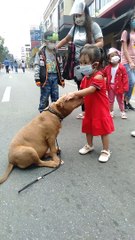 Little Girl Isn't Ready to Leave Dog