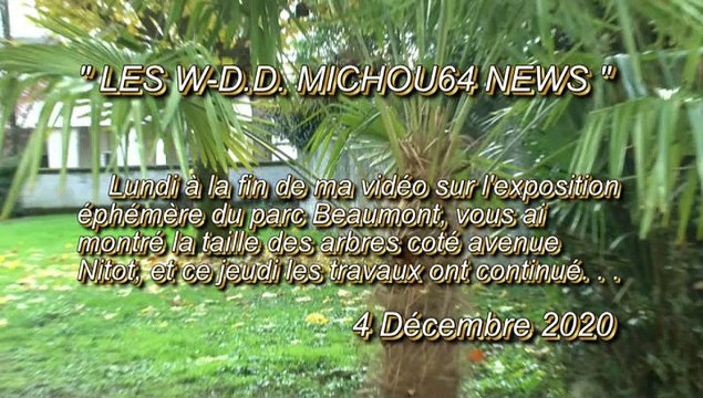 LES W-D.D. MICHOU64 NEWS - 4 DÉCEMBRE 2020 - PAU - PARC RÉSIDENCE RÉSUMÉ DES TRAVAUX EFFECTUÉS CE JEUDI