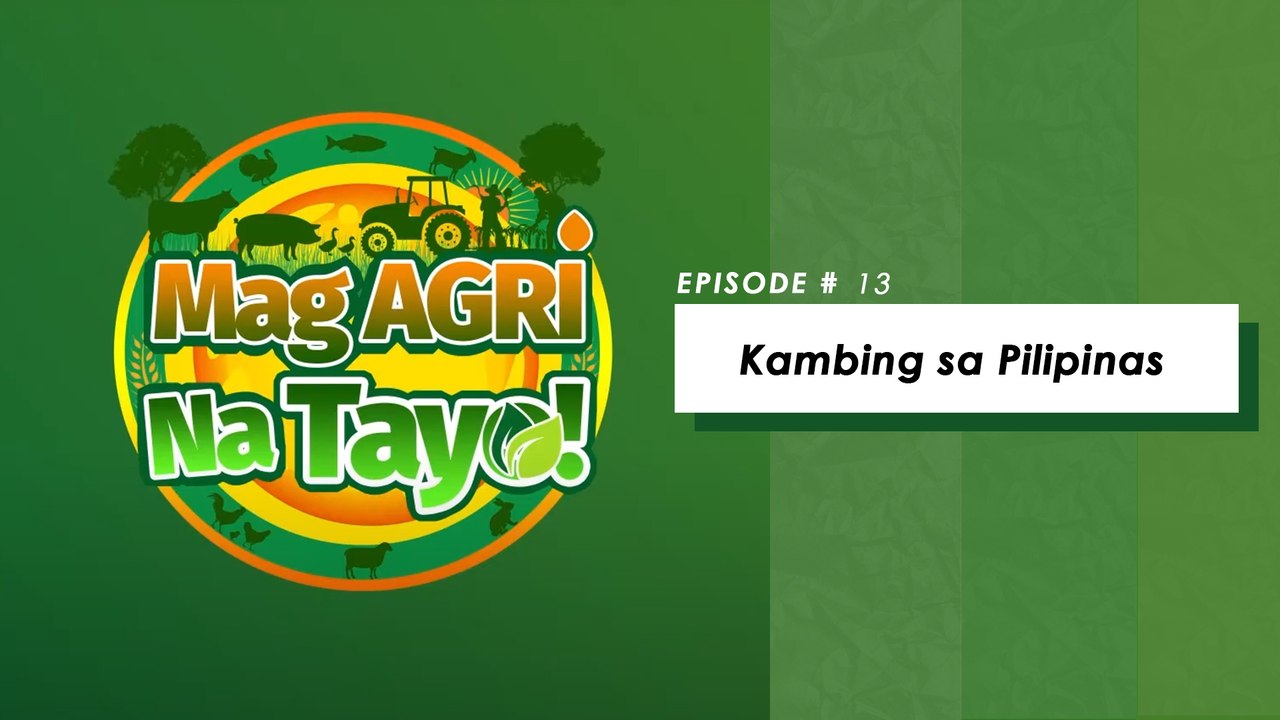"KAMBING SA PILIPINAS" Mag-Agri Na Tayo! Ep.13
