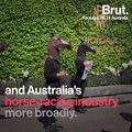 A horse euthanized in Australia reignites criticism