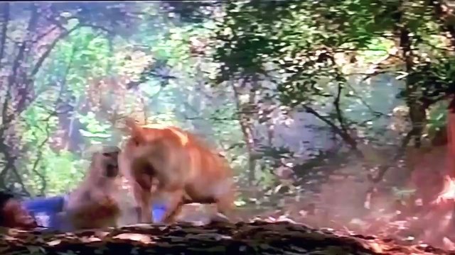 koi mil gaya dubbing