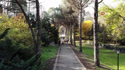 Atatürk Arboretumu’nda sonbahar manzarası