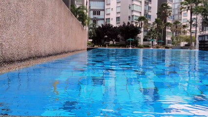 Swim After Circuit Breaker