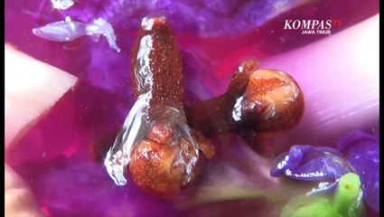 Teh Kembang Telang, Minuman Segar Kaya Manfaat