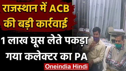 Rajasthan में Collector का PA 1 Lakh 40 Thousand की Bribe लेते पकड़ा गया | वनइंडिया हिंदी