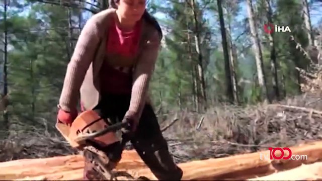 Kışın Çam, yazın Ladin ağaçlarının izini sürerek günde 500 ile 750 lira kazanıyorlar