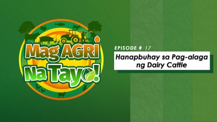 "HANAPBUHAY SA PAG AALAGA NG DAIRY CATTLE" Mag-Agri Na Tayo! Ep-17