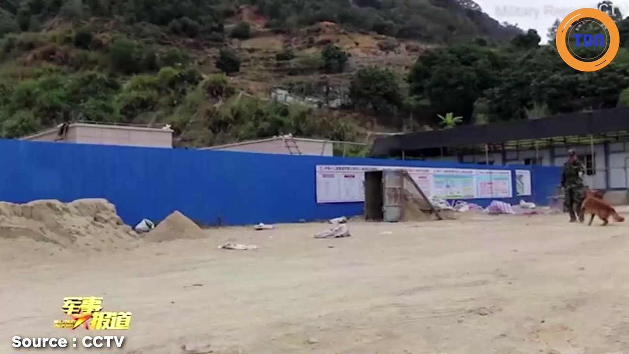 Un chien militaire refuse de laisser partir son maître à la retraite...