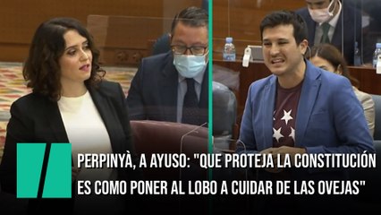 Perpinyà, a Ayuso: "No necesitamos que usted proteja la Constitución"
