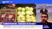 Comment éviter les arnaques sur les produits bio ? BFMTV répond à vos questions