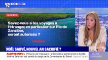 BFMTV répond à vos questions : Pourra-t-on aller voir sa famille à l'autre bout du pays pour Noël ? - 10/12