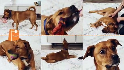 Francia multa con 135 millones a Google y Amazon por instalar 'cookies' sin permiso